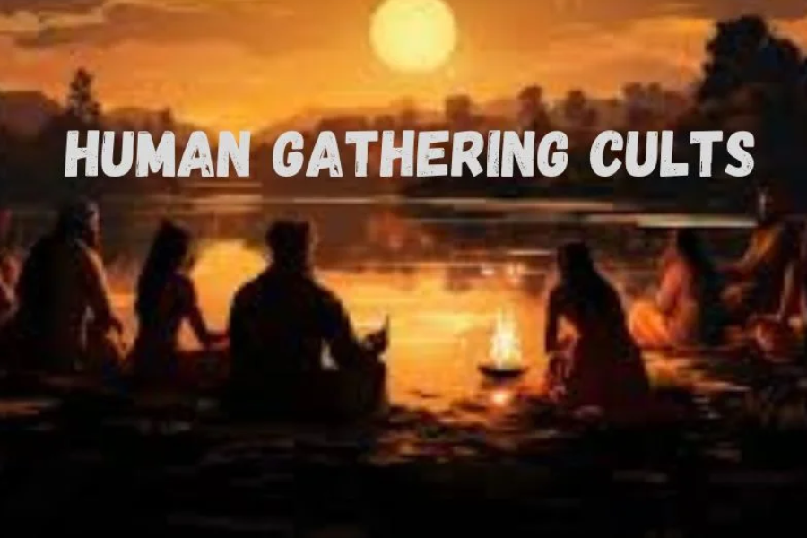 Human Gathering Cults